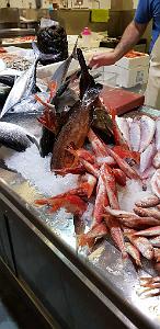 HOMMAGE A N.D. DE SANTA CRUZ A DALIAS DU 7 AU 10 JUIN 2019 (807) LA DERNIERE COLLATION A ALMERIA